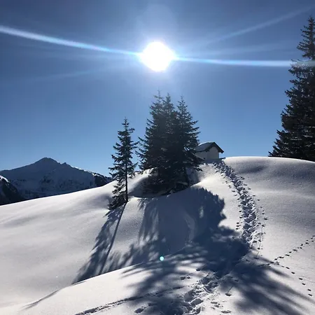 Wimreiter * Saalbach-Hinterglemm
