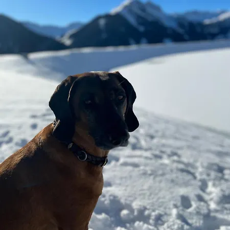Wimreiter Lägenhet Saalbach-Hinterglemm